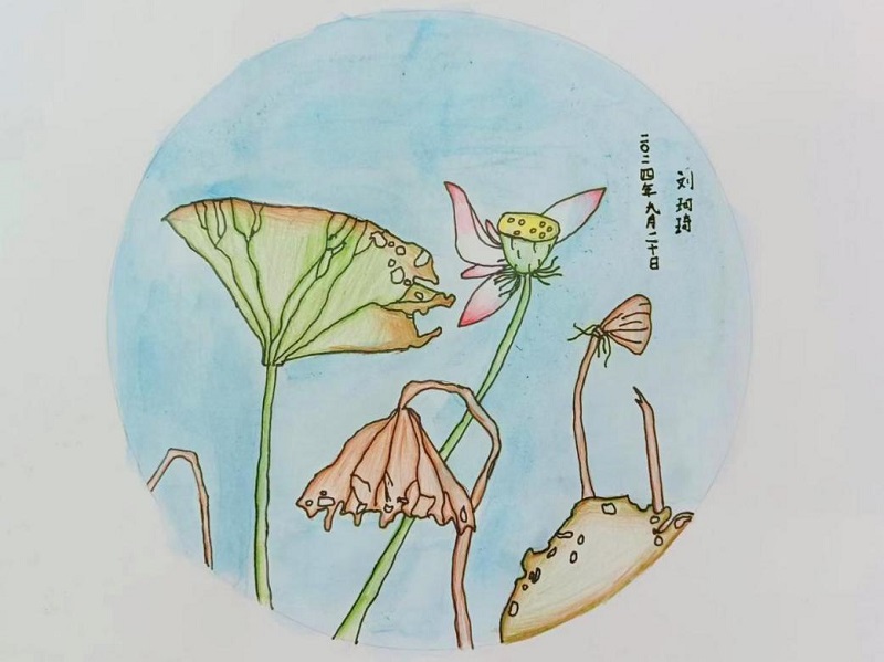 MILE米乐集团|Home